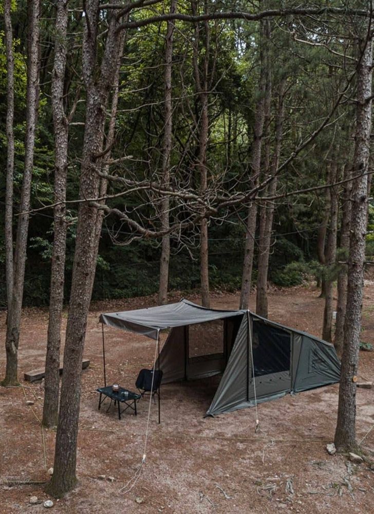 Tent in a pine forest, from Gorilla Outdoors